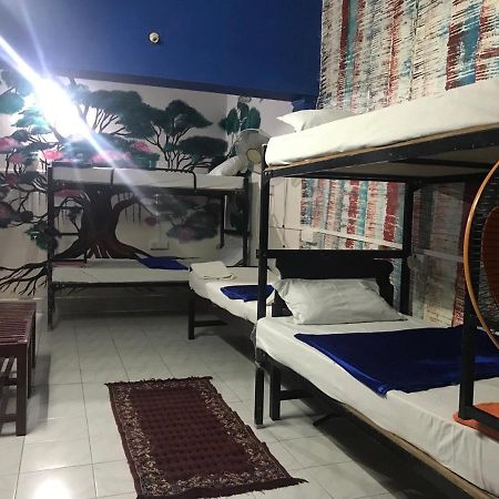 Brisbane Lodge & Hostel Kochi Εξωτερικό φωτογραφία